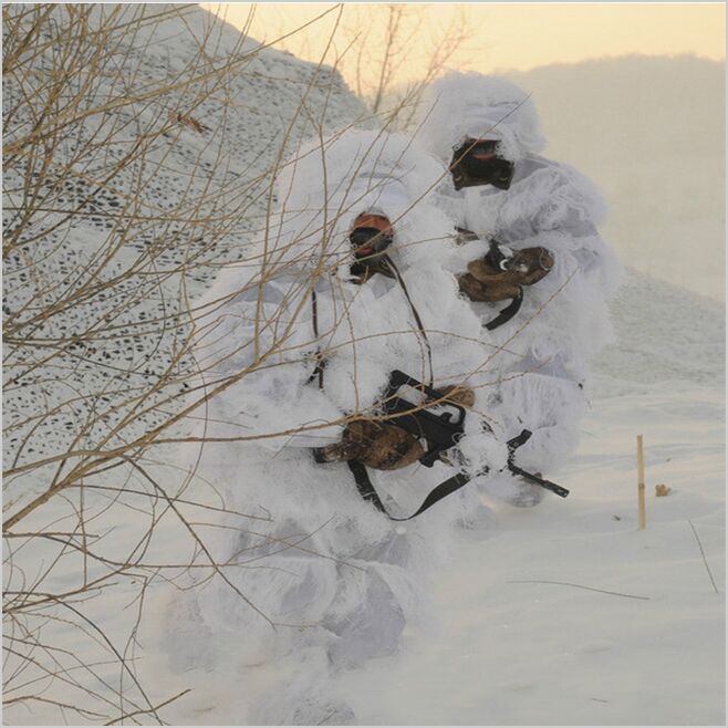 Ghillie Suit Woodland - Зимние 3D белые снежные маскировочные костюмы,